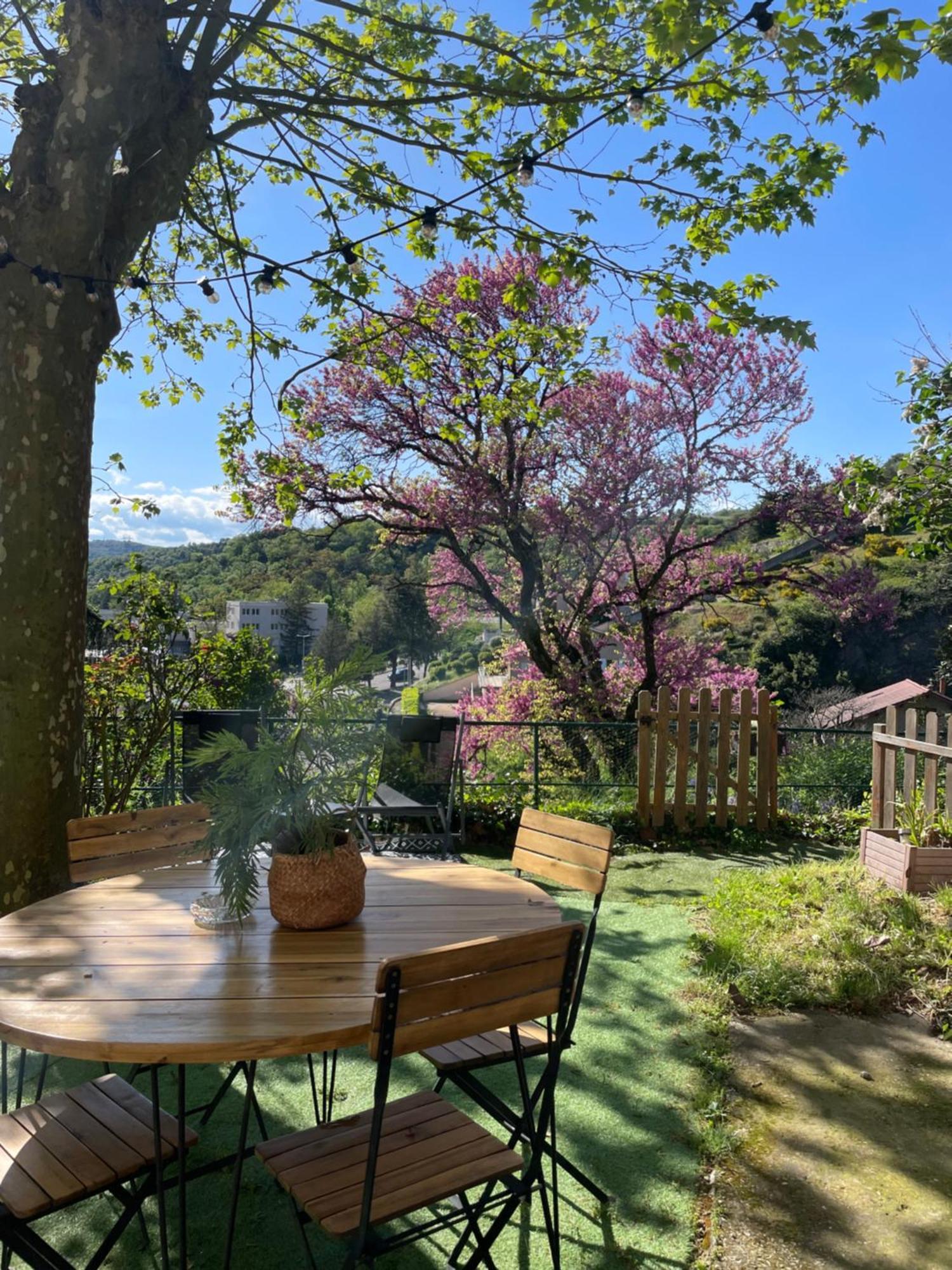 Maison A Avec Jardin Privatif Dans Domaine Des Crozes Vienne  Eksteriør billede